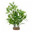Fluval AquaLife White Tipped Ludwigia Plastic Plant Aquarium Décor Medium - 8 Inch