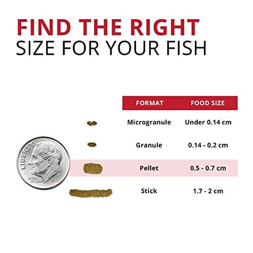 Fluval Bug Bites Insect Cichlid Formula Pellets for Medium-Large Sized Fish Food