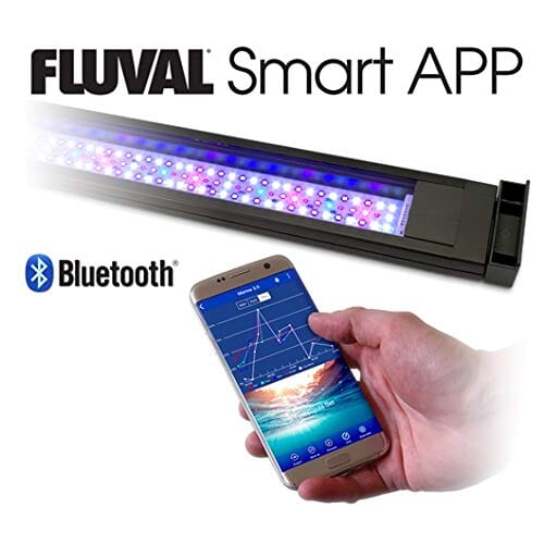 Fluval Flex Marine Aquarium Kit with LED Lights and Filter - 32.5 Gallons - L:32.5 X W:15.7 X H:15.3 Inches