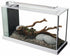 Fluval SPEC V Aquarium Kit with LED Lighting and 3-Stage Filtration System - 5 Gallon - White Default Title