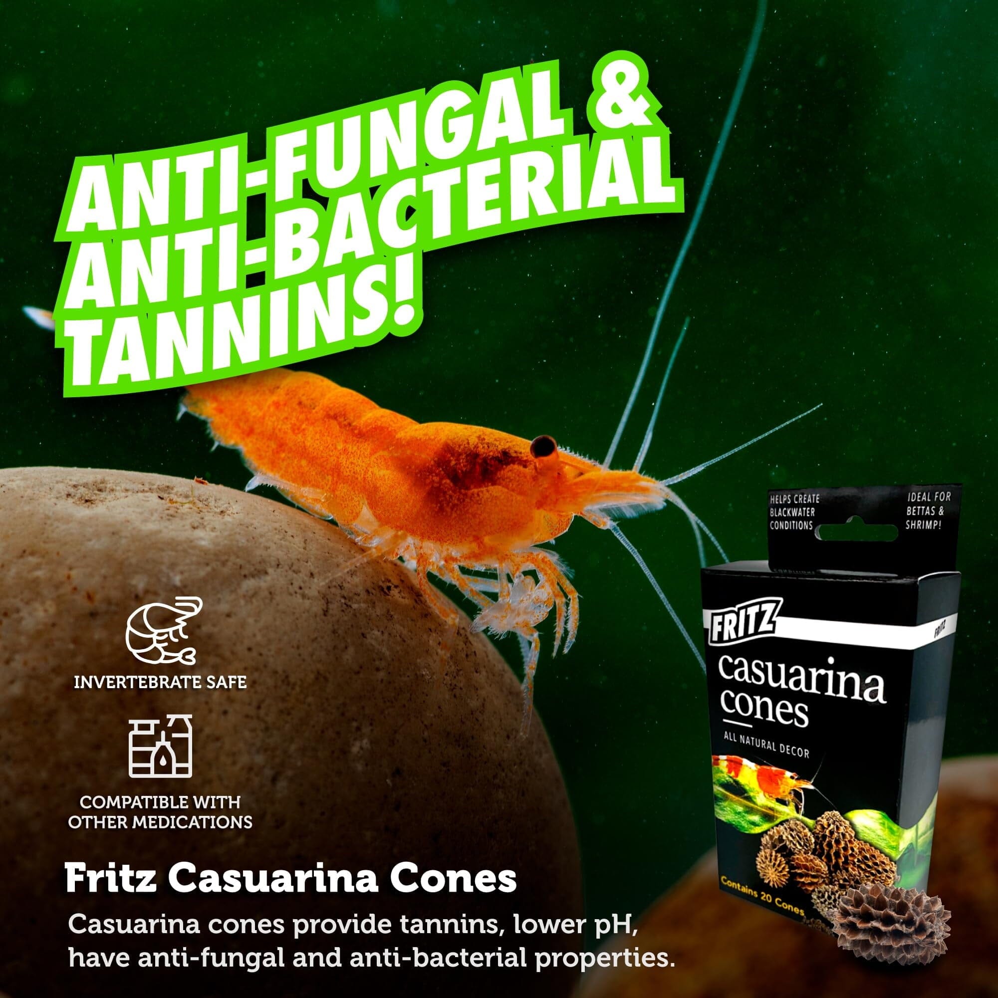 Fritz Aquatics Casuarina Cones Natural Décor and Health for Betta and Shrimp and Blackwater Conditions - 20 Pack