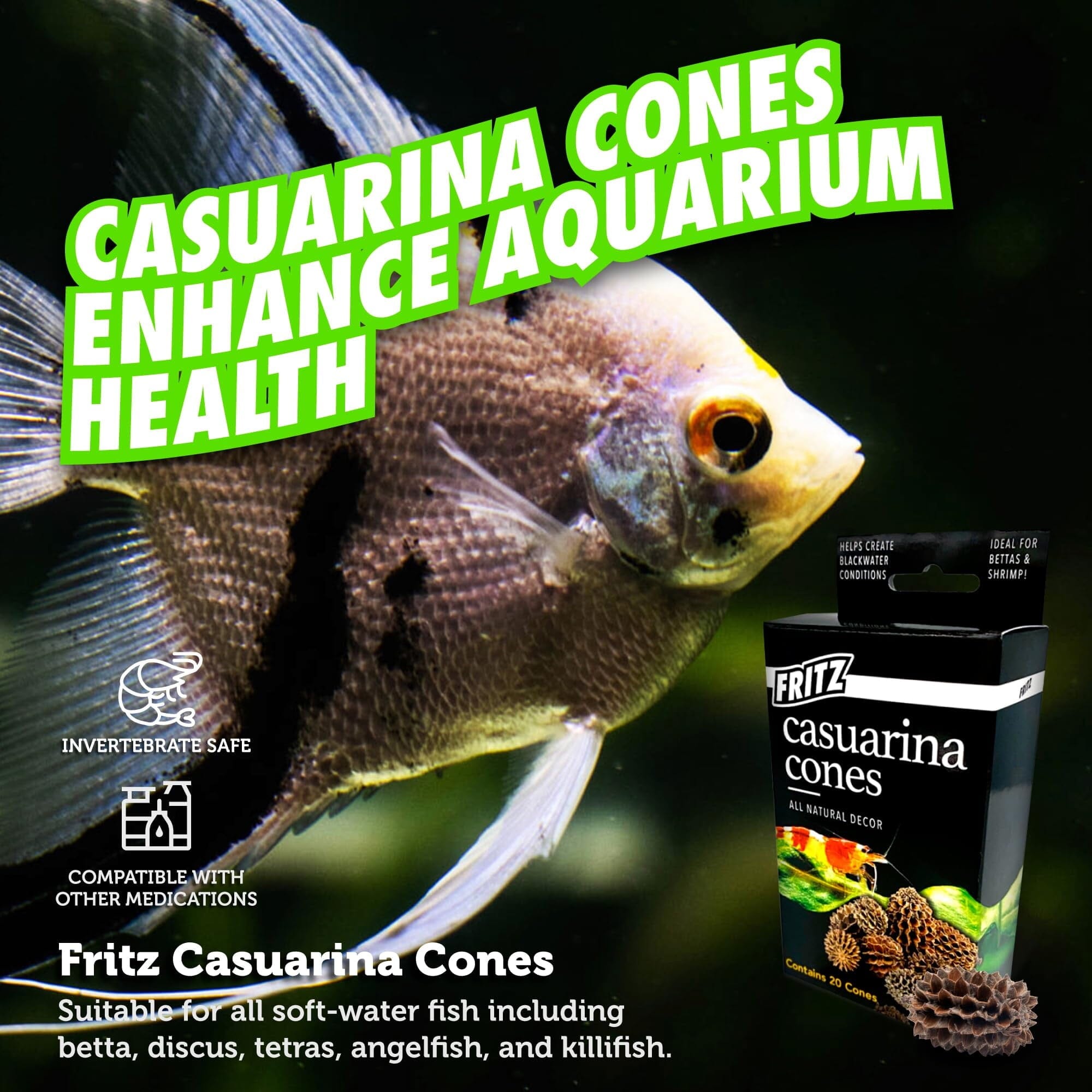 Fritz Aquatics Casuarina Cones Natural Décor and Health for Betta and Shrimp and Blackwater Conditions - 20 Pack