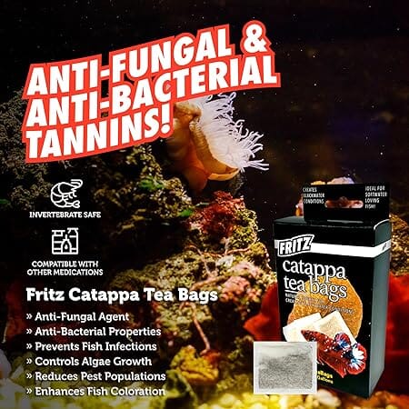 Fritz Aquatics Cattapa Leaf Tea Bags Natural Health for Freshwater and Saltwater Conditions - 10 Count