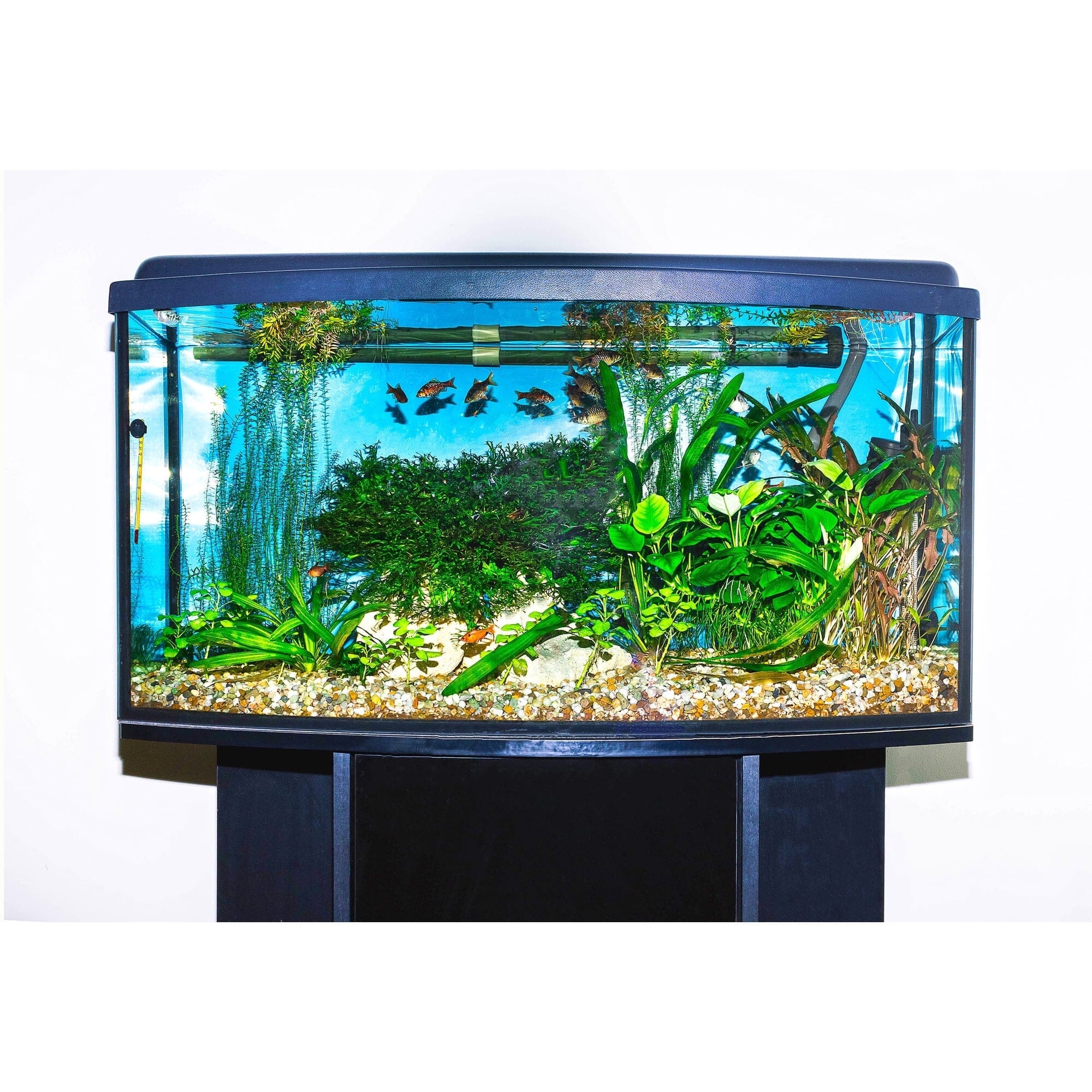 Fritz Aquatics Freshwater and Saltwater Aquarium Water Clafier - 8 Oz