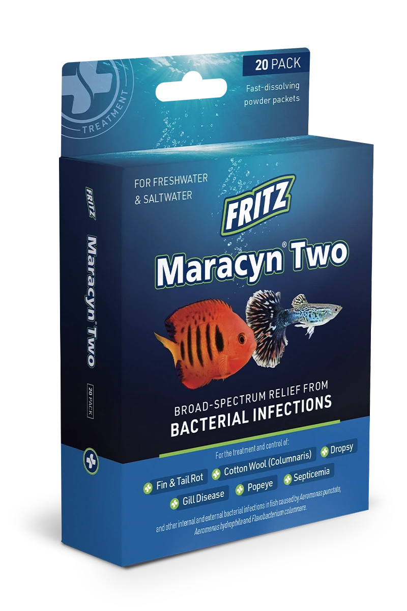 Fritz Aquatics Mardel Maracyn Two Freshwater and Saltwater Bacterial Infection Fish Medication 20 Count