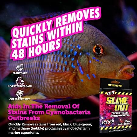Fritz Aquatics Slime Out Red Cyanobacteria Freshwater and Saltwater Packets Stain Remover Treatment - 10 Count