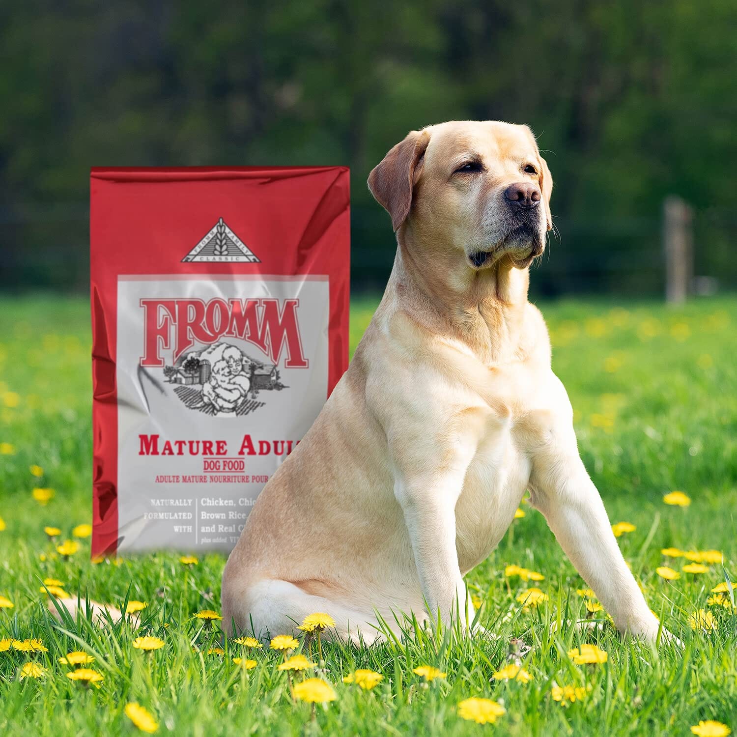 FROMM Classic Mature Senior Adult Premium Chicken Dry Dog Food  