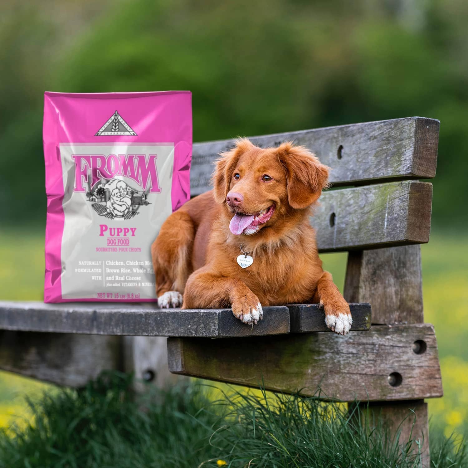 FROMM Classic Puppy Premium Chicken Dry Dog Food  