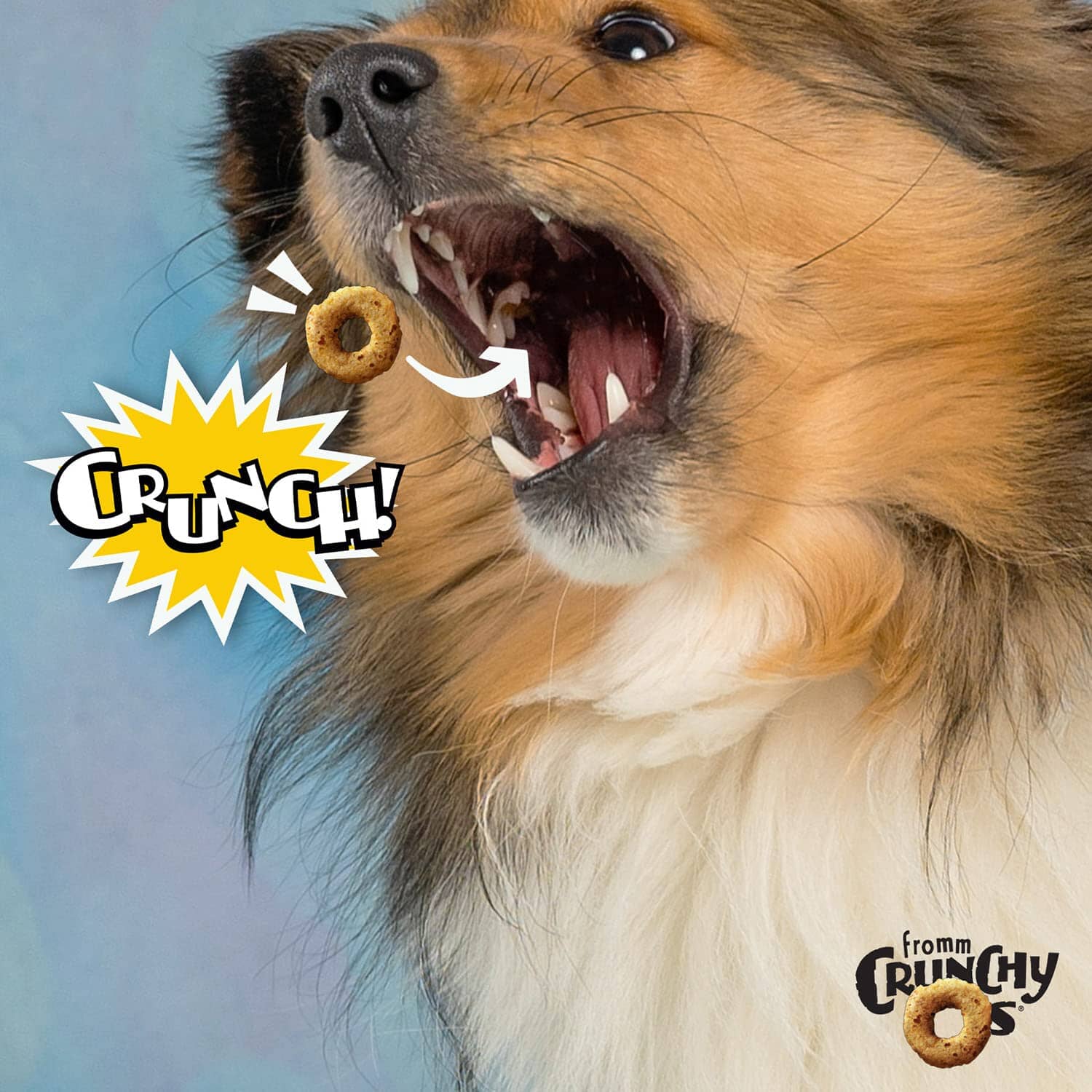 FROMM CrunchyO's Bluberry Blasts Crunchy Dog Treats  