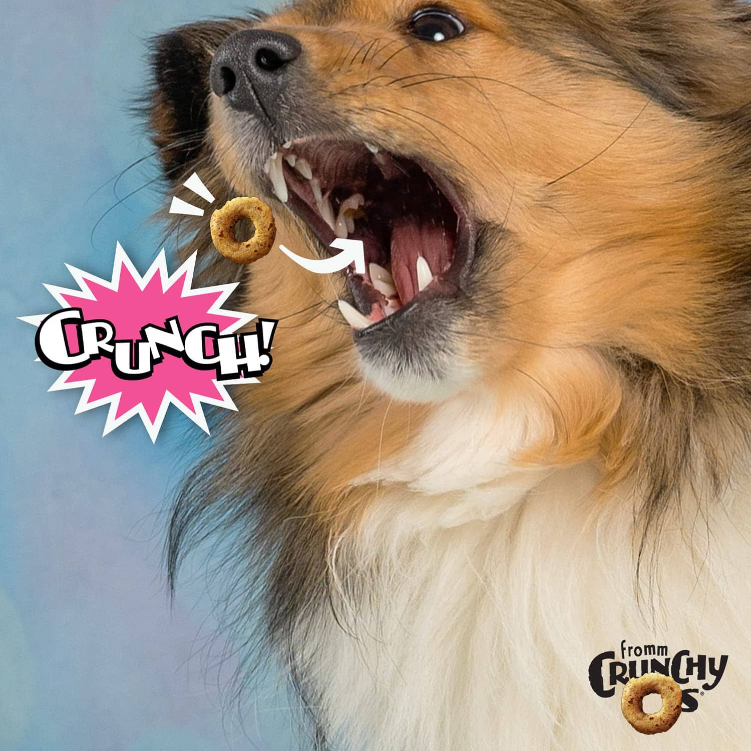 FROMM CrunchyO's Slammin' Smoked Salmon Crunchy Dog Treats  