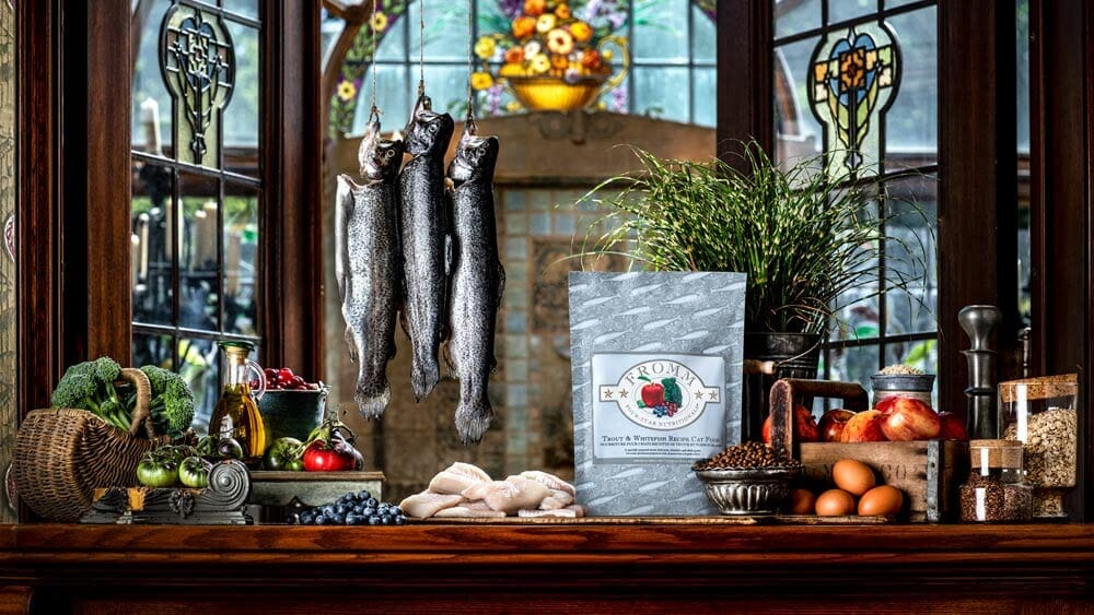 FROMM Four-Star Nutritionals Trout and Whitefish with Grains Dry Cat Food  