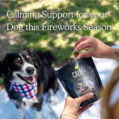 Get Joy Calm+ Chicken Chamomile and Valerian Root Calming Supplemental Dog Chews - 90 Count