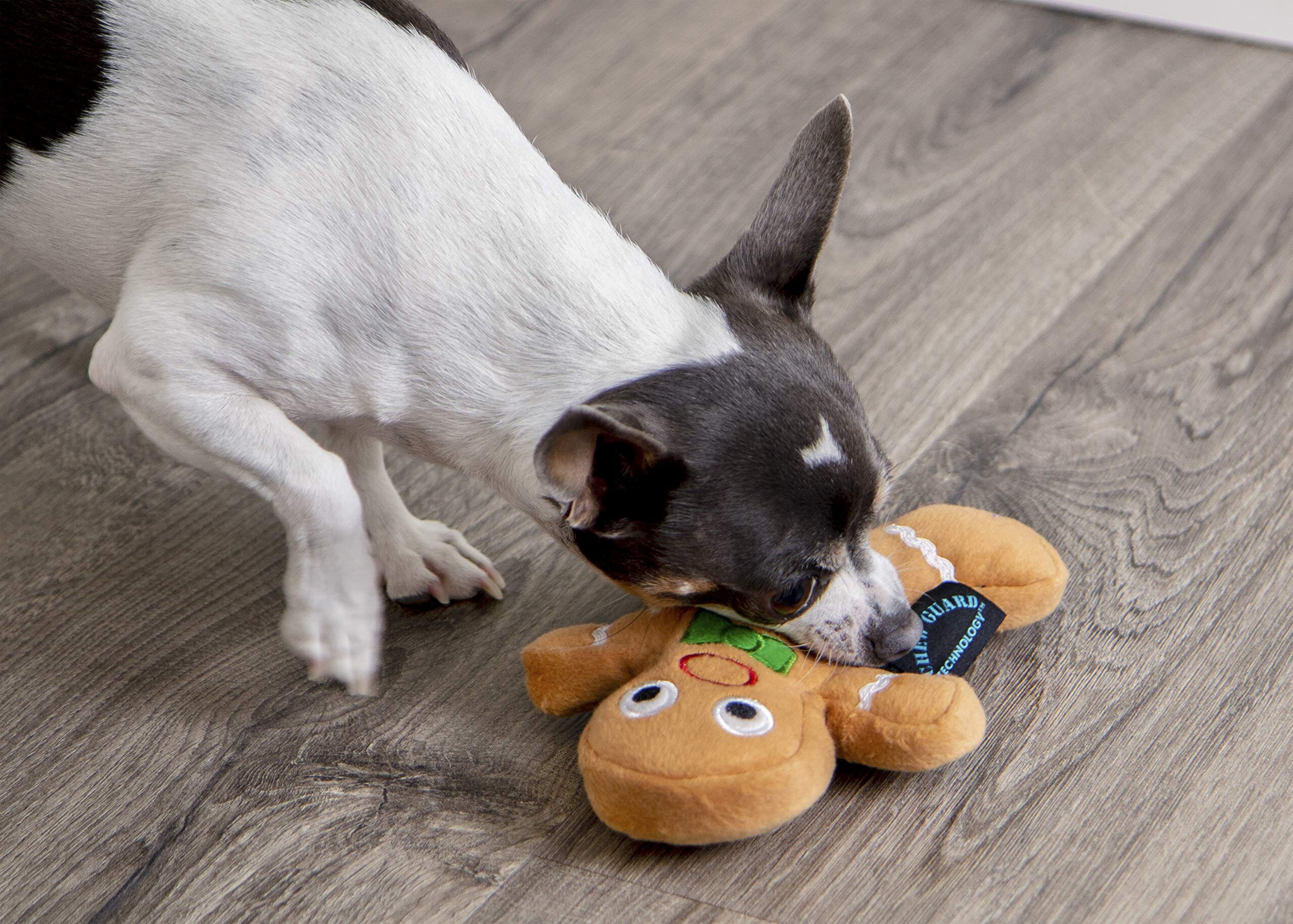 GoDog Checkers Sitting Rooster Squeak and Plush Dog Toy with Chew-Guard Tech - White - Mini  