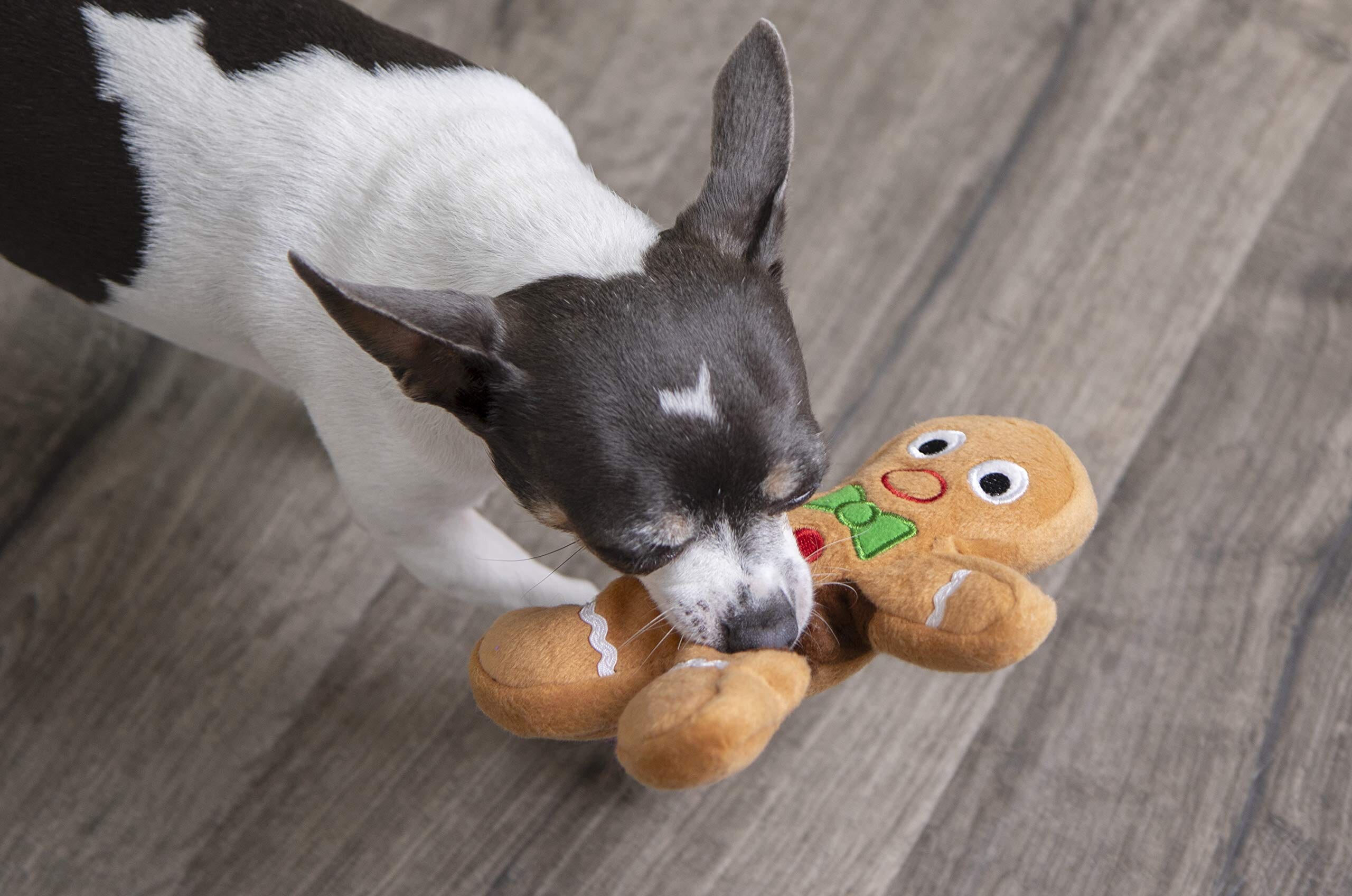 GoDog Checkers Sitting Rooster Squeak and Plush Dog Toy with Chew-Guard Tech - White - Mini  