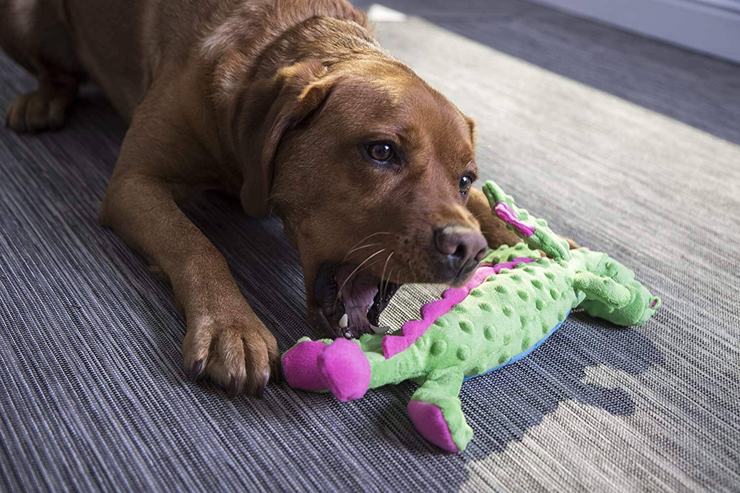 GoDog Checkers Skinny Dragon Squeak and Plush Dog Toy with Chew-Guard Tech - Blue - Large  