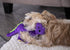 GoDog Dino Bruto Squeak and Plush Dog Toy with Chew-Guard Tech - Purple - Mini  