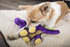 GoDog Dino Bruto Squeak and Plush Dog Toy with Chew-Guard Tech - Purple - Mini  