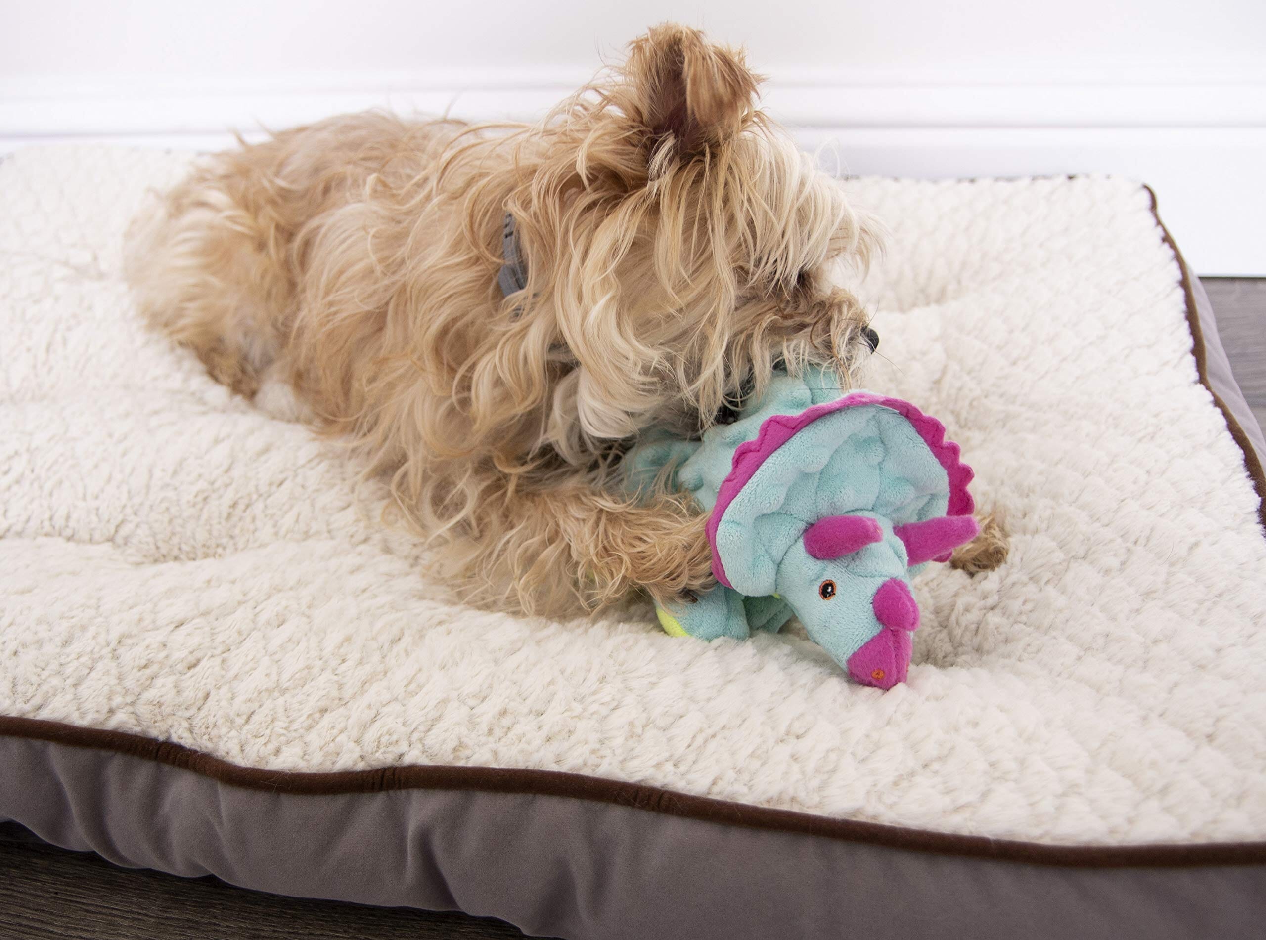 GoDog Dino Frillz Triceratops Squeak and Plush Dog Toy with Chew-Guard Tech - Teal - Small  