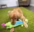 GoDog Dragon Squeak and Plush Dog Toy with Chew-Guard Tech - Green - Small  