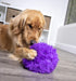 GoDog Furballz Squeak Plush and Fetch Dog Toy with Chew-Guard Tech - Purple - Large  