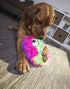 GoDog Furballz Squeak Plush and Fetch Dog Toy with Chew-Guard Tech - Rainbow - Large  