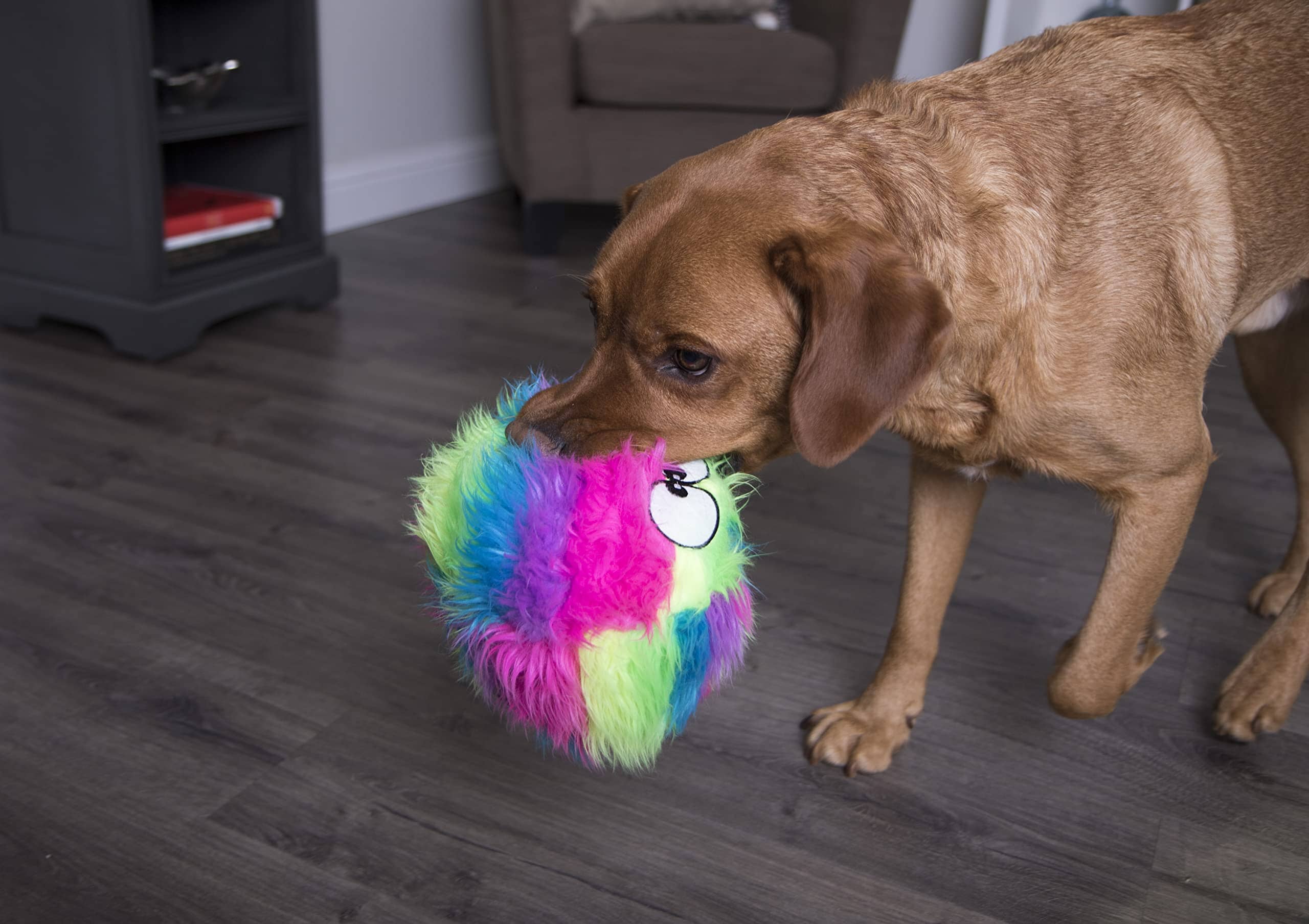 GoDog Furballz Squeak Plush and Fetch Dog Toy with Chew-Guard Tech - Rainbow - Large  