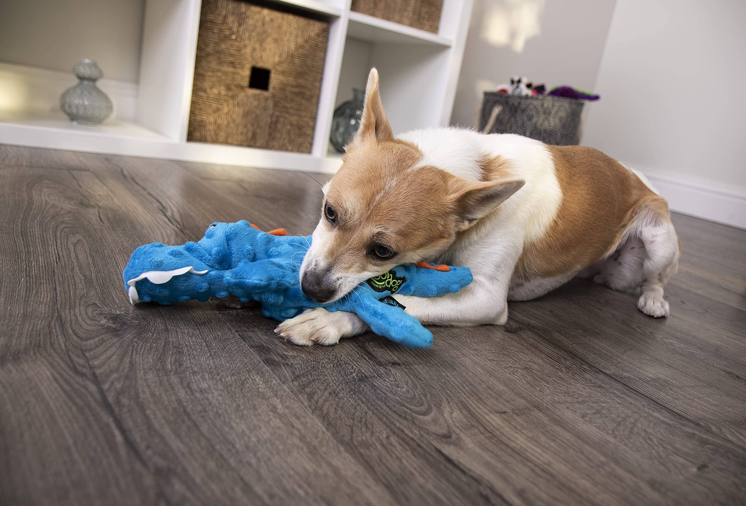 GoDog Gator Squeak and Plush Dog Toy with Chew-Guard Tech - Blue - Extra Small  