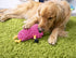 GoDog Llama the Noodle Squeak and Plush Dog Toy with Chew-Guard Tech - Pink - Small  