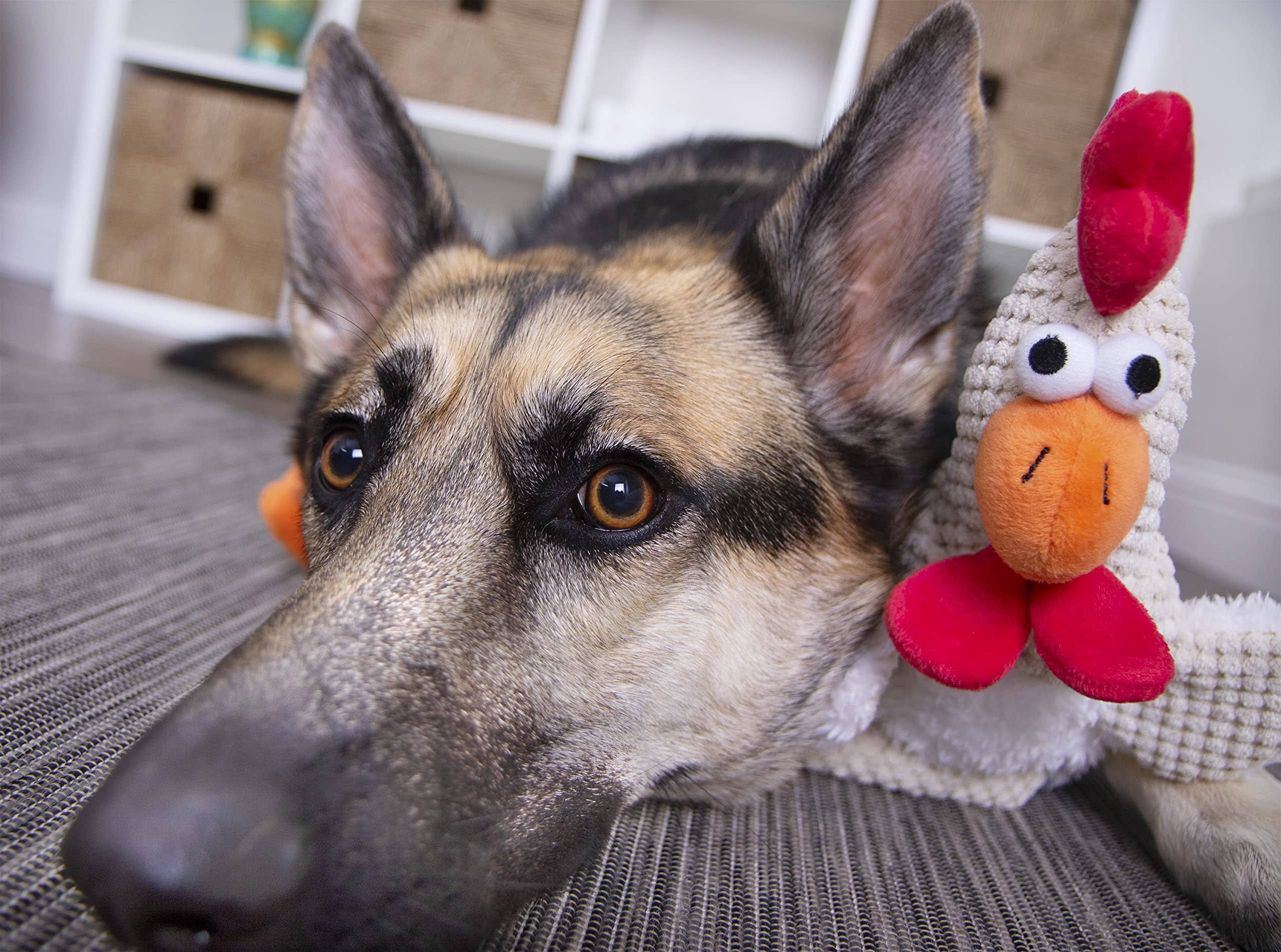 GoDog Mopz Chicken Squeak and Plush Dog Toy with Chew-Guard Tech - White  