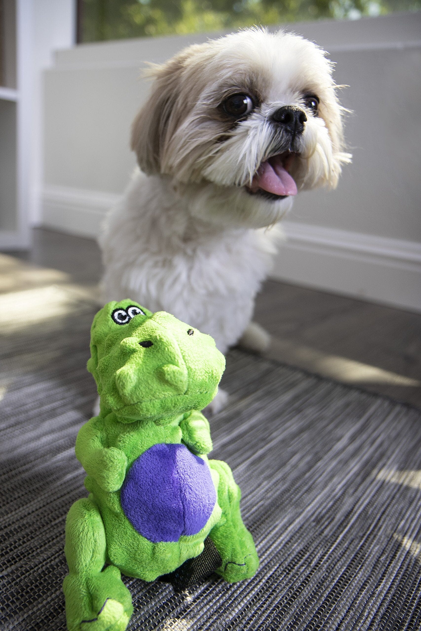 GoDog T-Rex Squeak and Plush Dog Toy with Chew-Guard Tech - Lime - Extra Small  