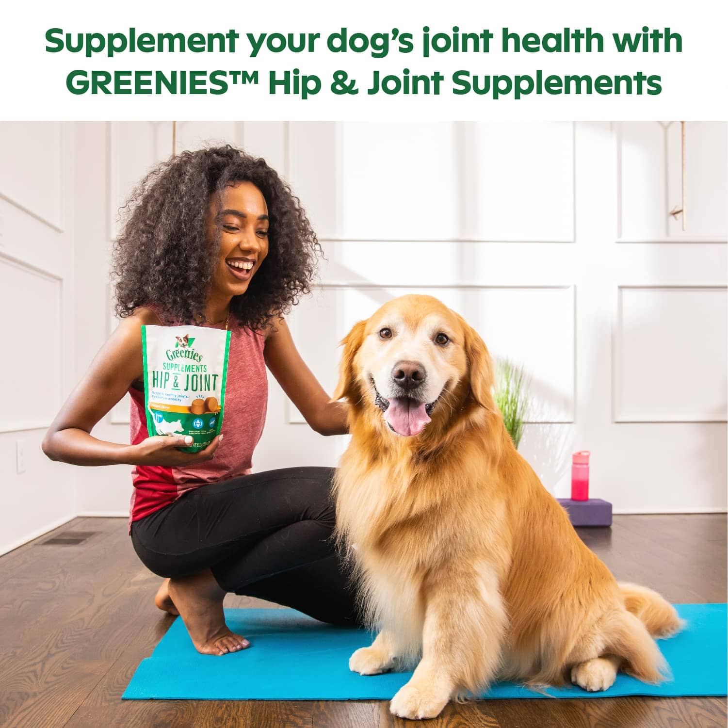 Greenies Hip & Joint Supplement for Dogs  - 160 Count - 3.4 lbs  