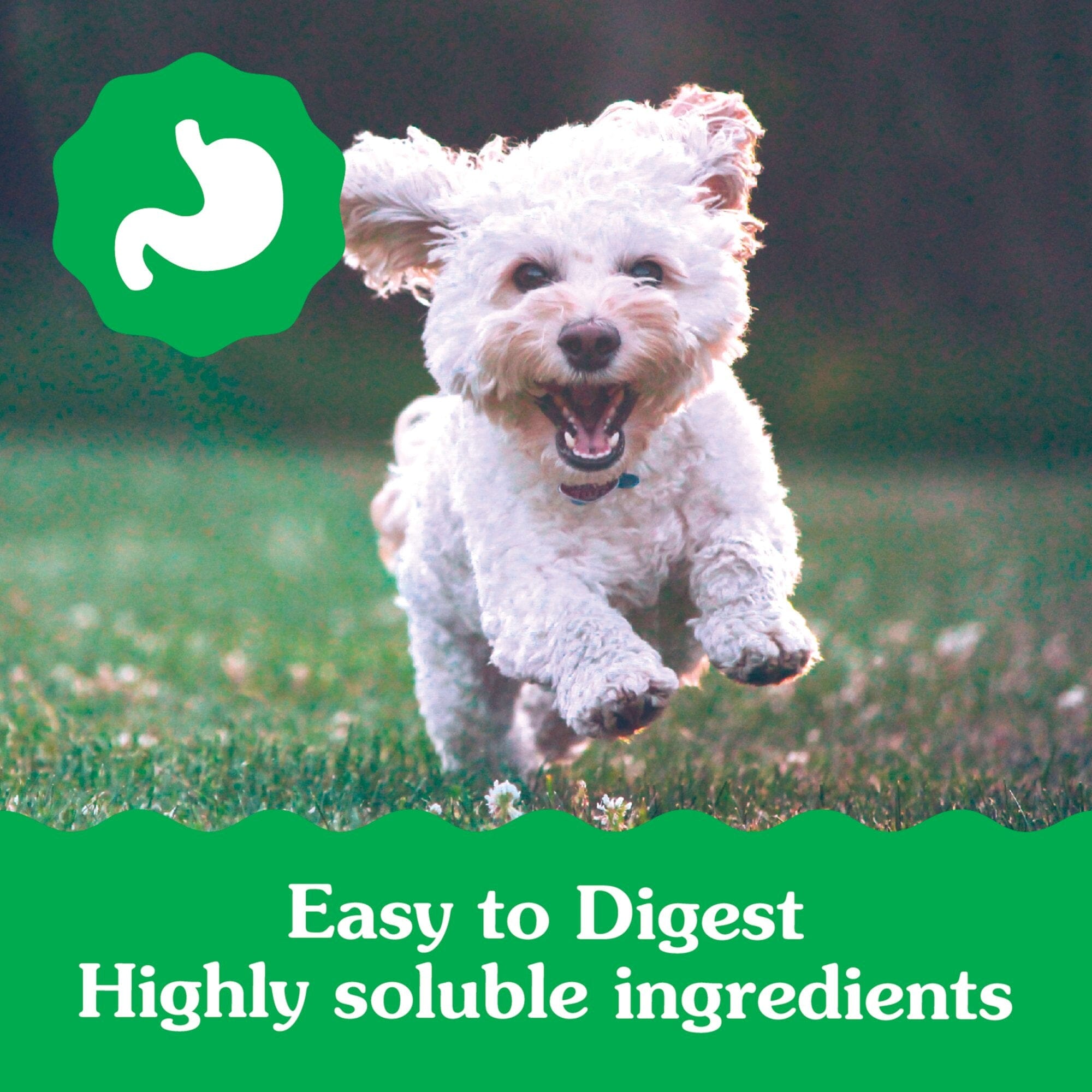Greenies Original Chicken Dental Dog Treats for Puppies 6+ Months 5-15 Lbs - Teenie
