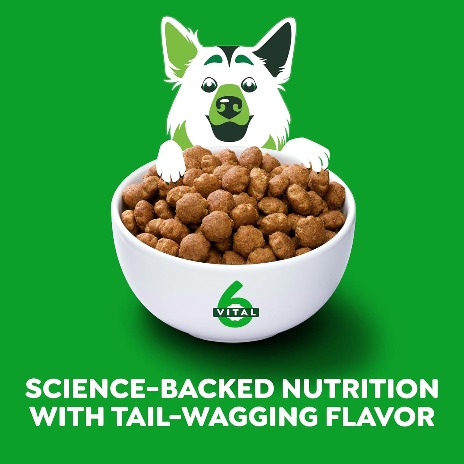 Greenies Smart Essentials High-Protein Chicken and Rice Large-Breed Adult Dry Dog Food