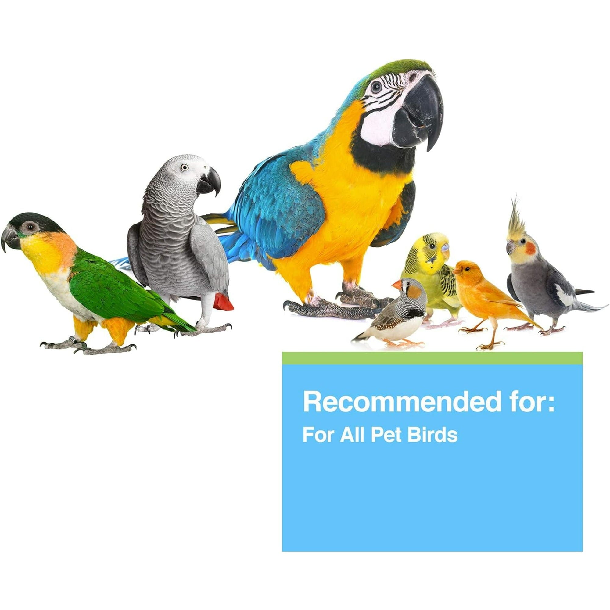 Hagen Hari Coconut Derived Charcoal Digestion and Toxin Bird Supplement - 8.11 Oz