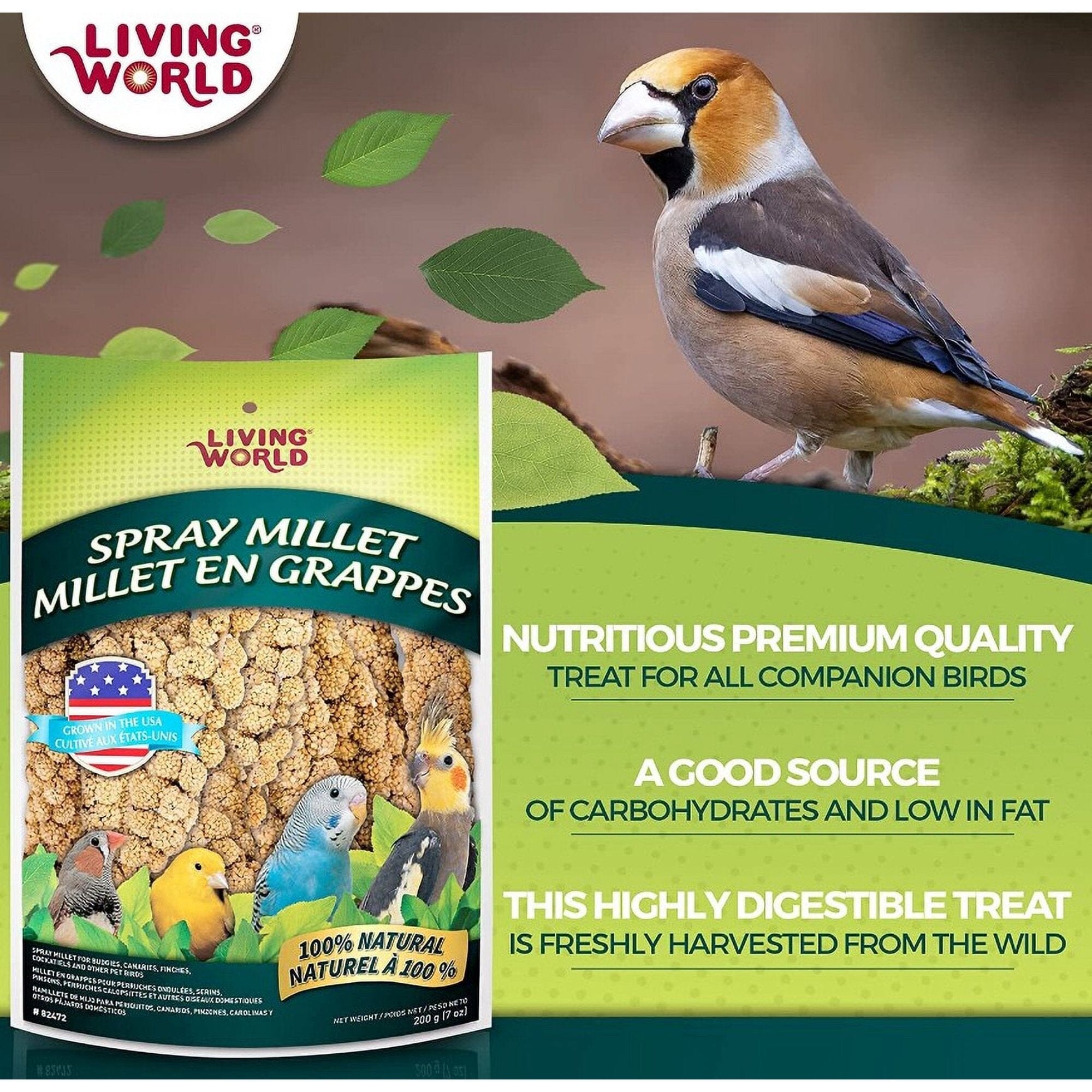 Hagen Hari Living World Millet Spray Bird Treats for Cockatiels Budgies Canaries and Finches