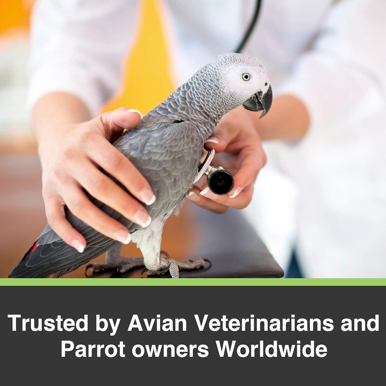 Hagen Hari Prime Vitamin Mineral and Amino Acids Powder Seed Eating Bird Supplements