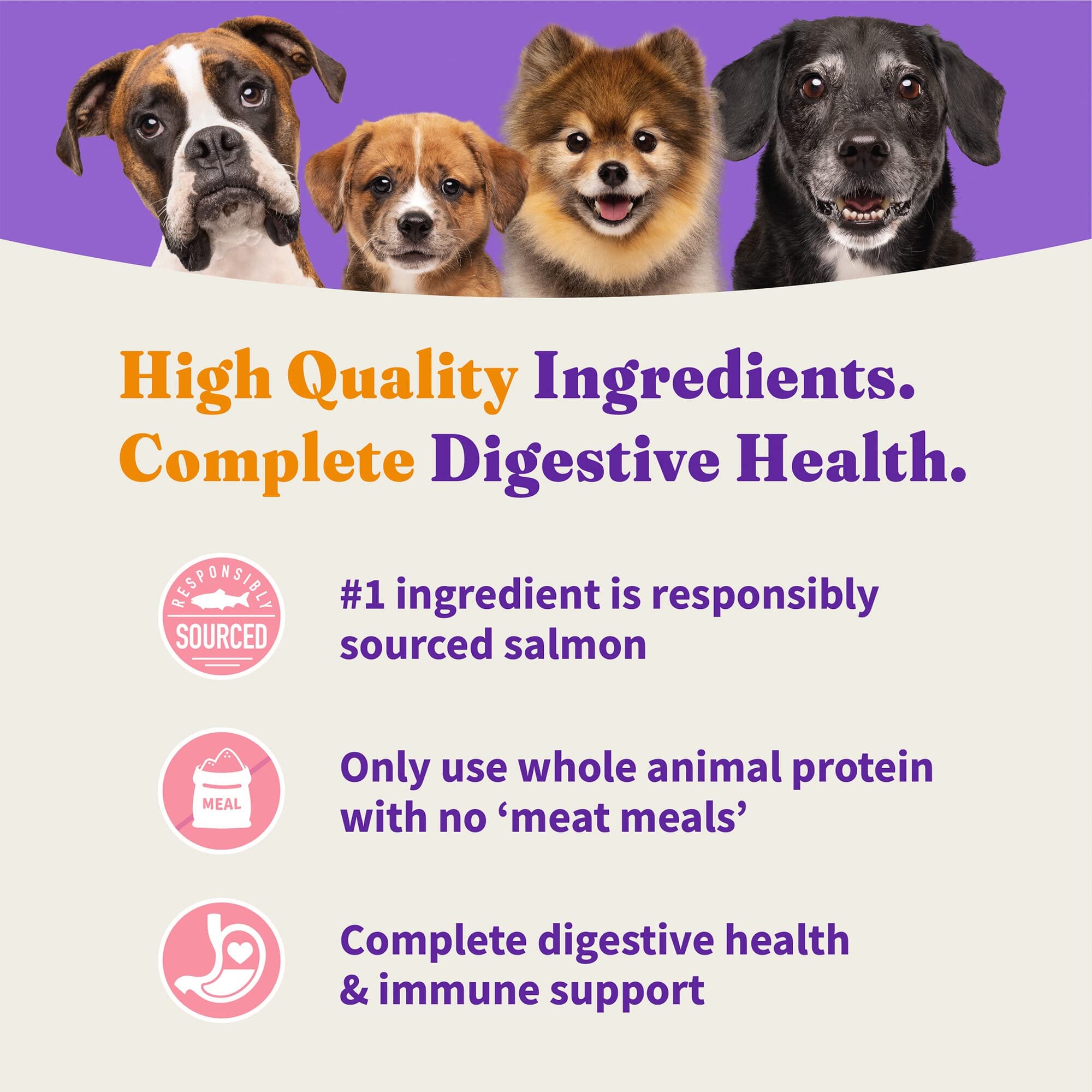 Halo Pets Elevate Grain-Free Salmon Recipe Dry Dog Food - 20 Lbs  