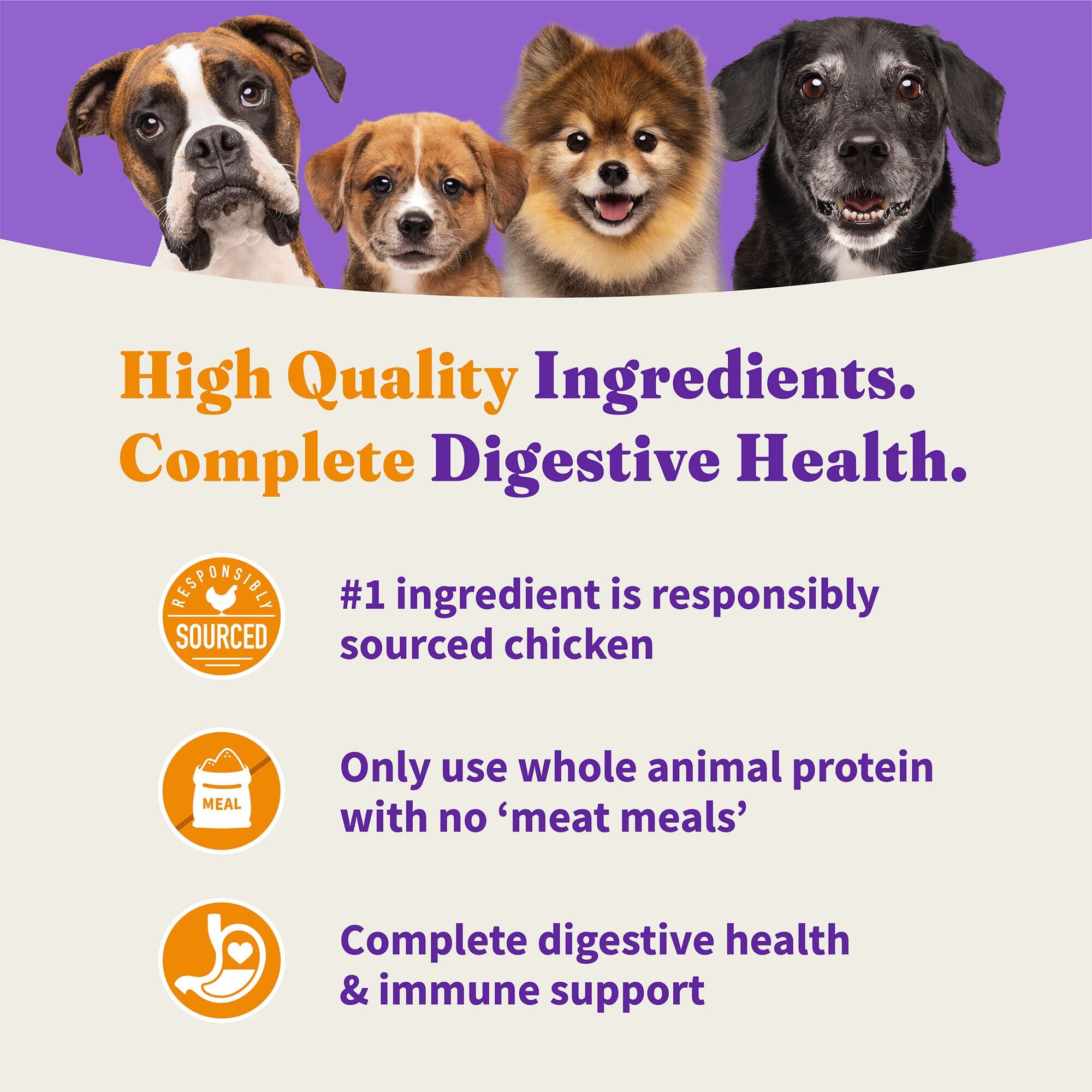 Halo Pets Elevate Healthy Grains Chicken Recipe Dry Dog Food - 20 Lbs  