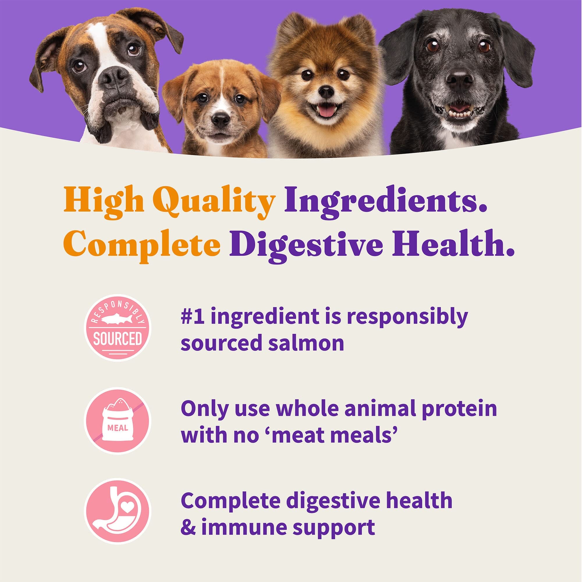 Halo Pets Elevate Healthy Grains Salmon Recipe Dry Dog Food - 20 Lbs  