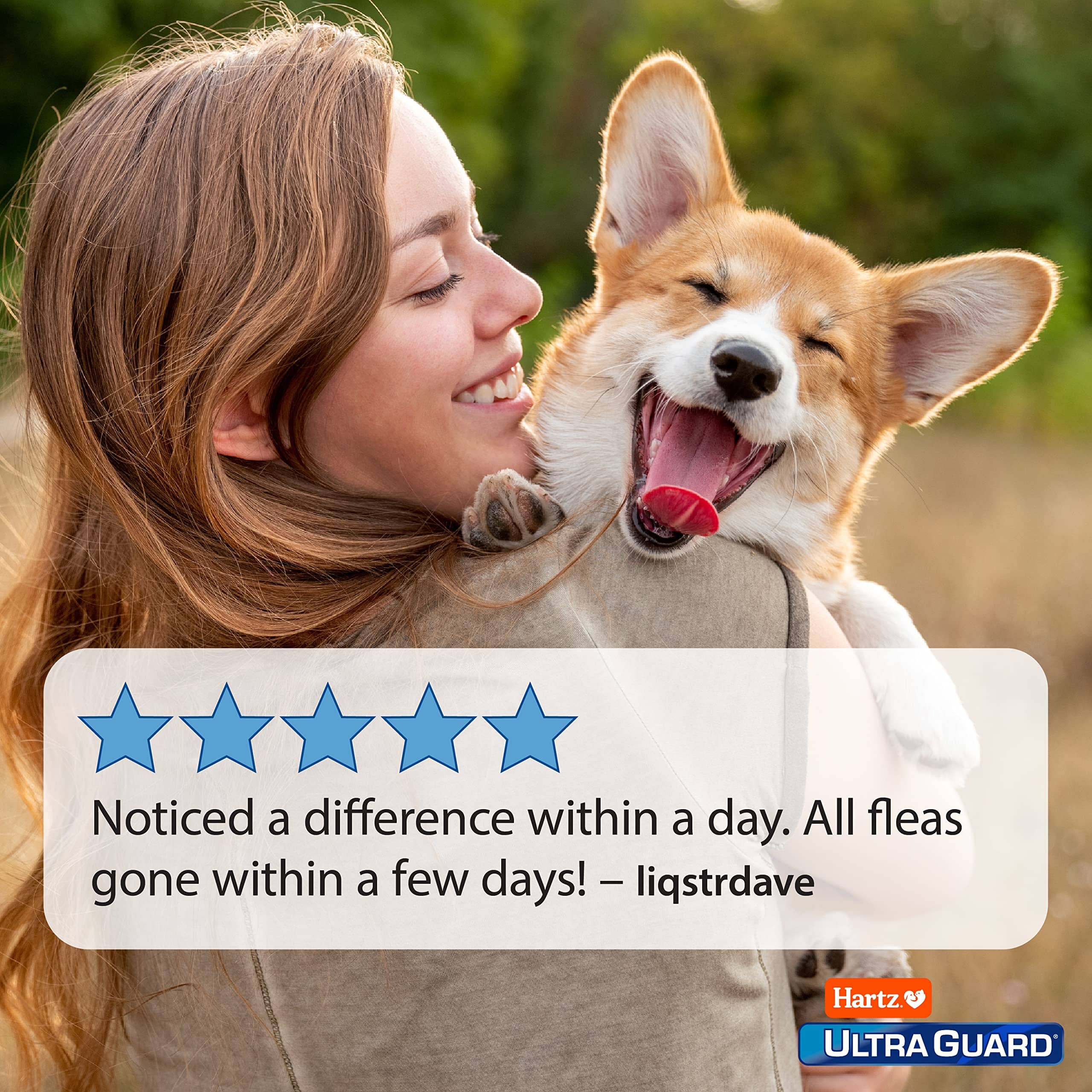 Hartz Mountain Ultra Guard Flea and Tick Spray for Dogs - 16 Oz  