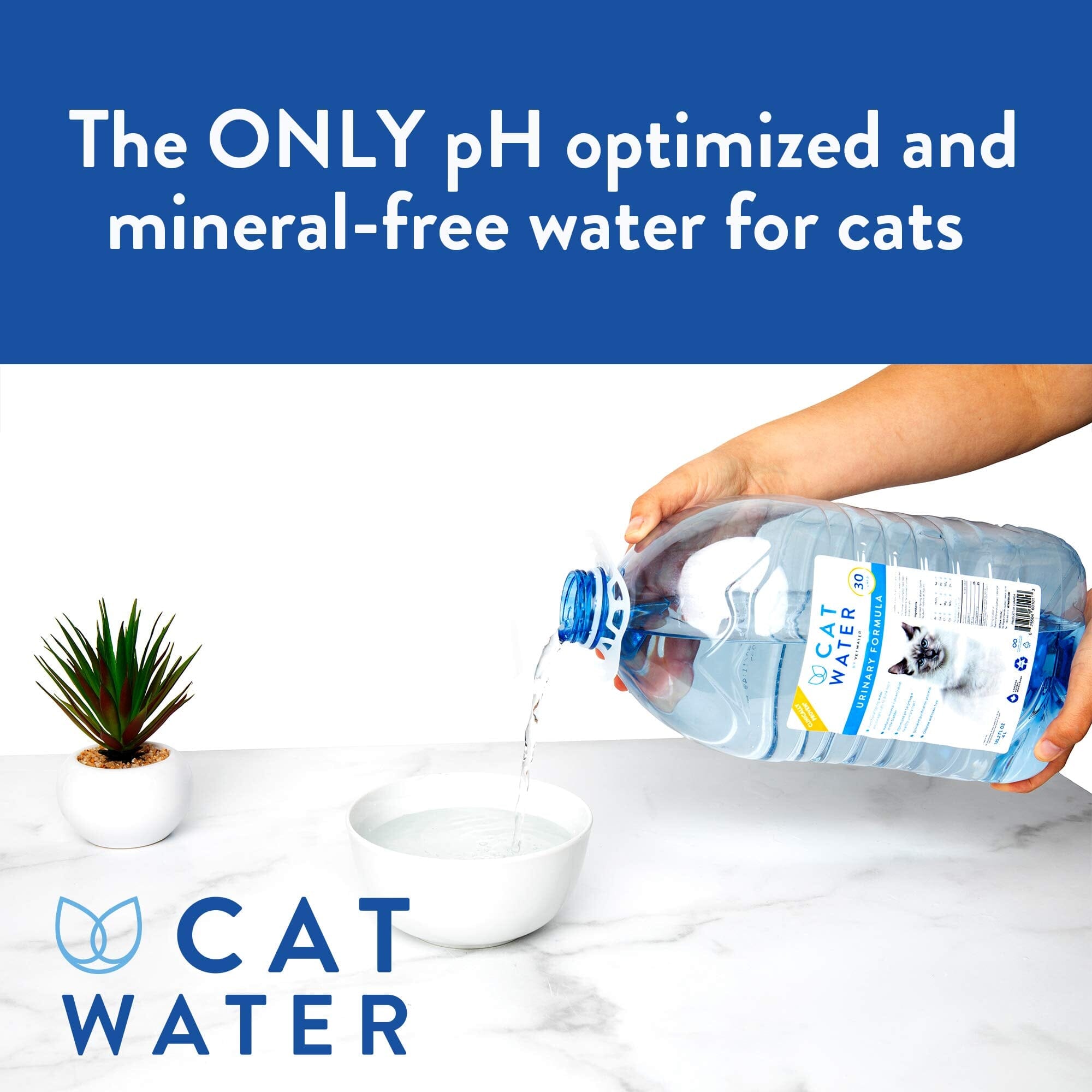 H&C PH Balanced Urinary Formula Liquid Cat Water Supplements  