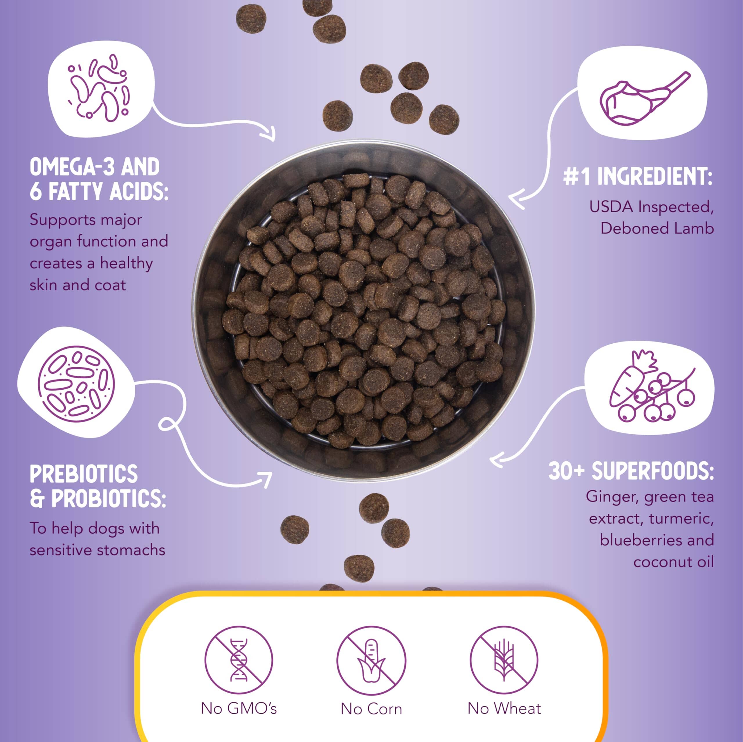 Health Extension All Natural Lamb and Brown Rice Dry Dog Food - 4 Lbs  