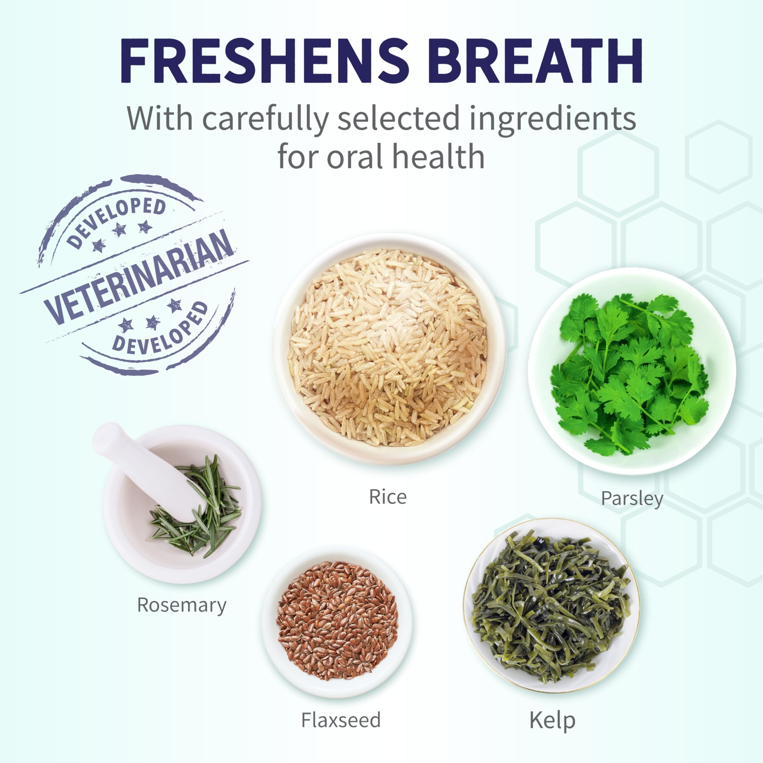 Health Extension Broth Bone Fresh Breath Dental Dog Chews - Large - 3 Pack  