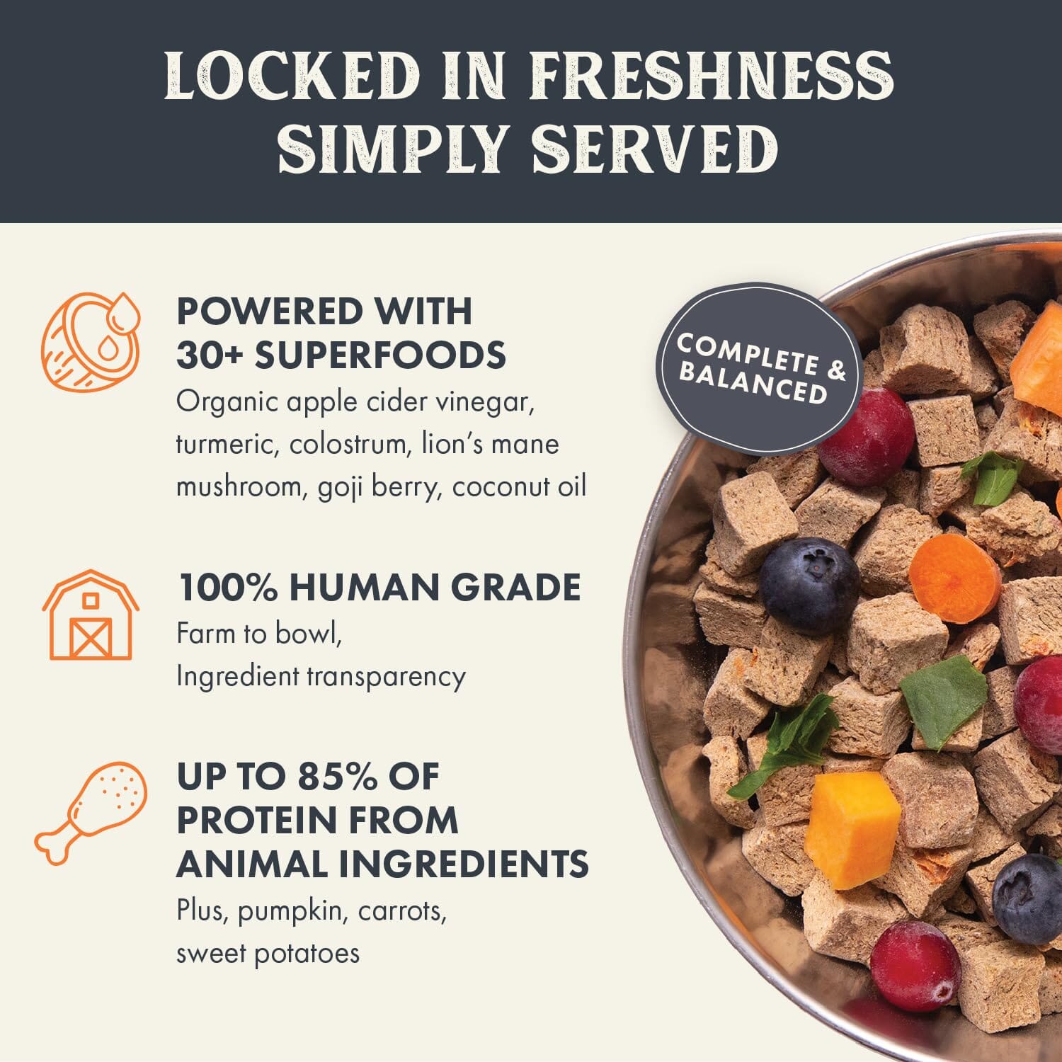 Health Extension Complete and Balanced Human-Grade Chicken Gently Air-Dried Dog Food - 2 Lbs