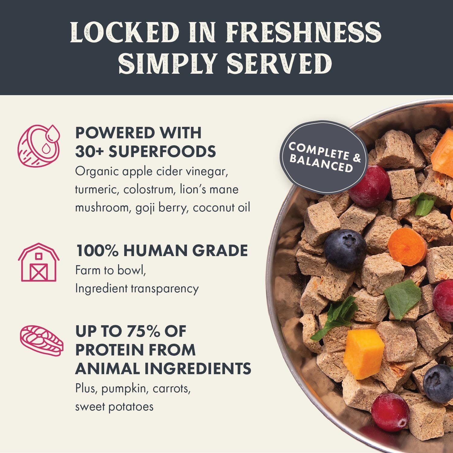 Health Extension Complete and Balanced Human-Grade Salmon Gently Air-Dried Dog Food - 2 Lbs