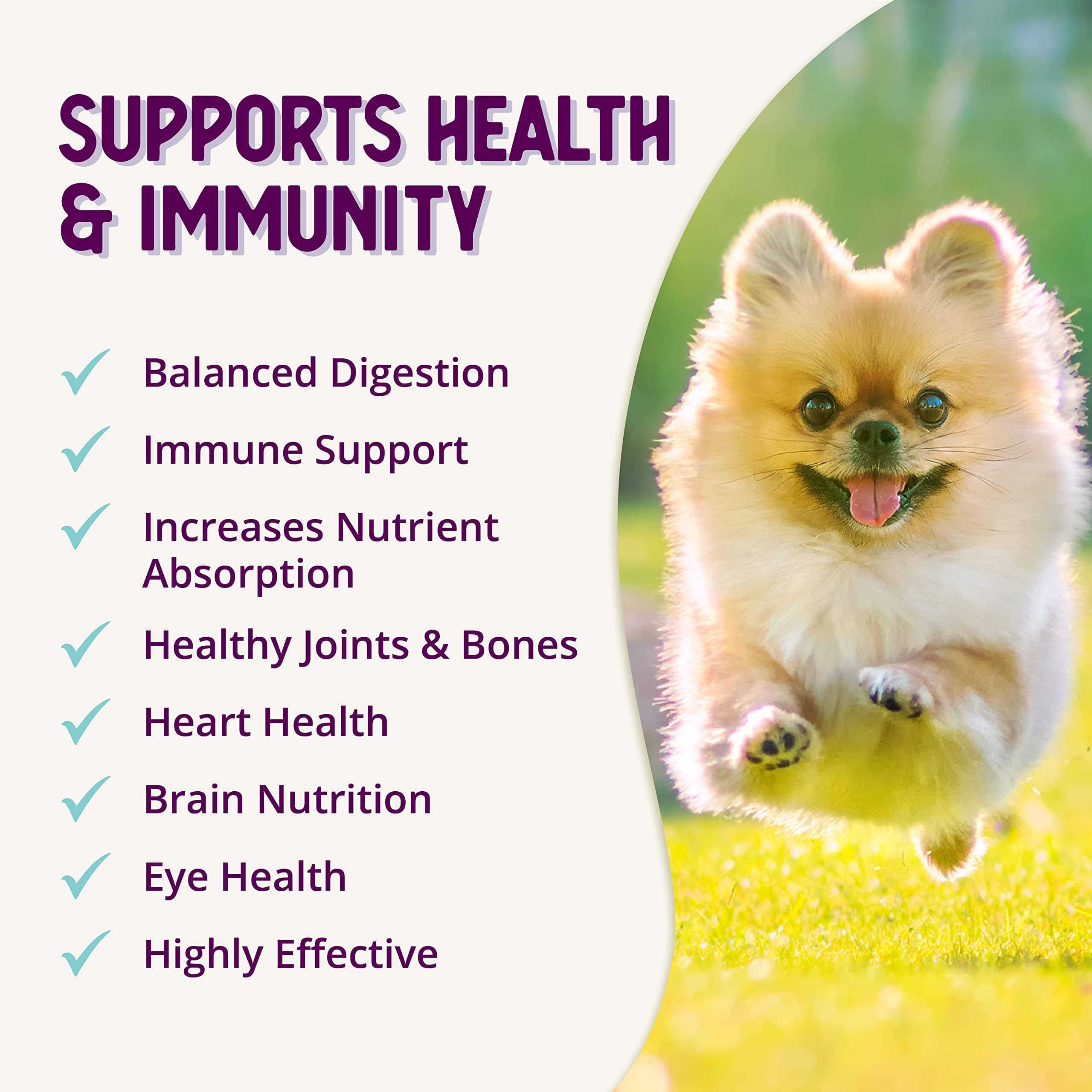 Health Extension Digestive Support Probiotic Powder Puppy Dog Supplement - 16 Oz  