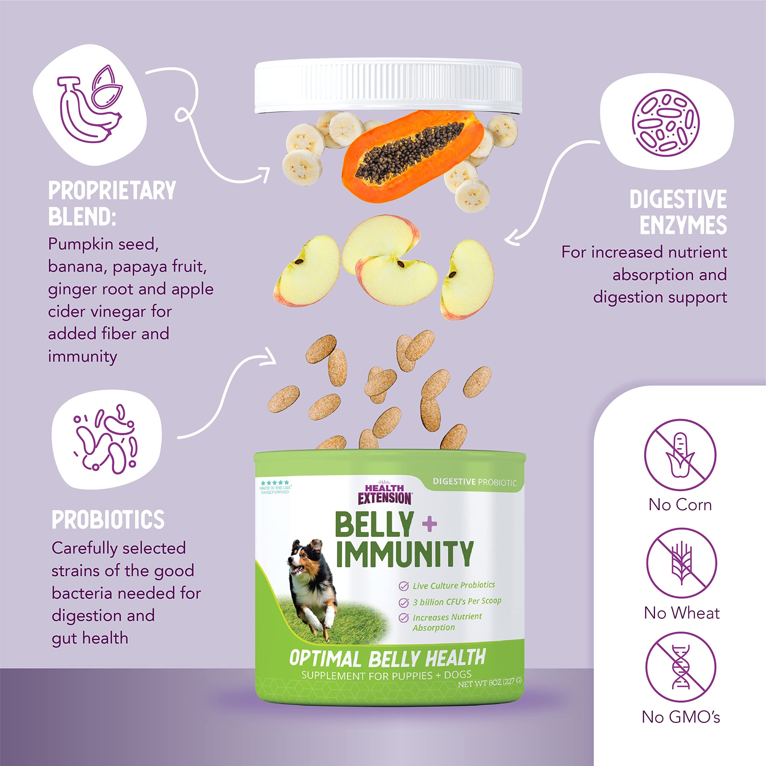 Health Extension Digestive Support Probiotic Powder Puppy Dog Supplement - 16 Oz  