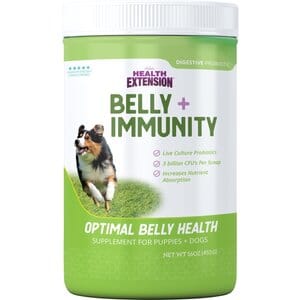 Health Extension Digestive Support Probiotic Powder Puppy Dog Supplement - 16 Oz
