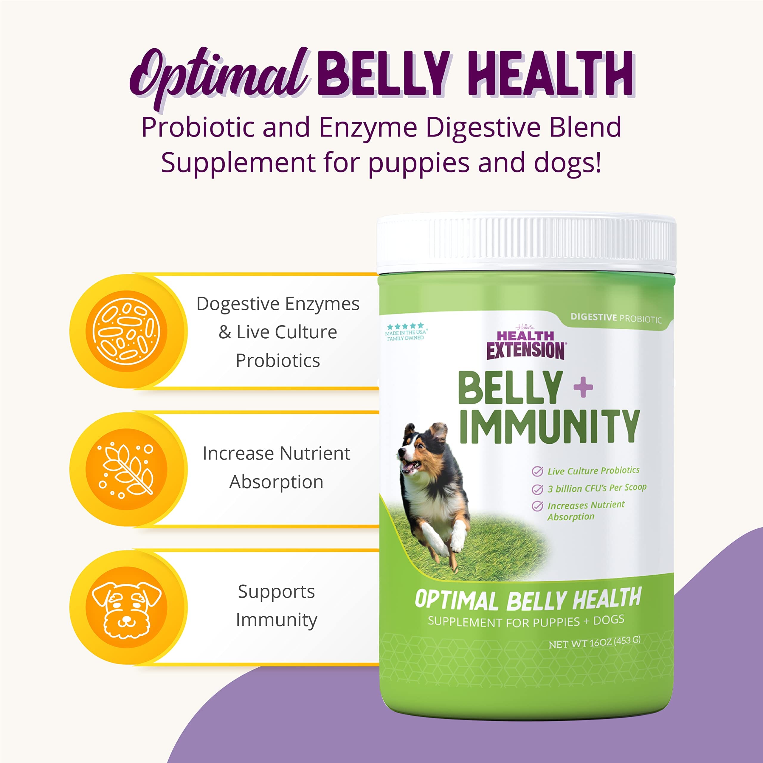 Health Extension Digestive Support Probiotic Powder Puppy Dog Supplement - 16 Oz  