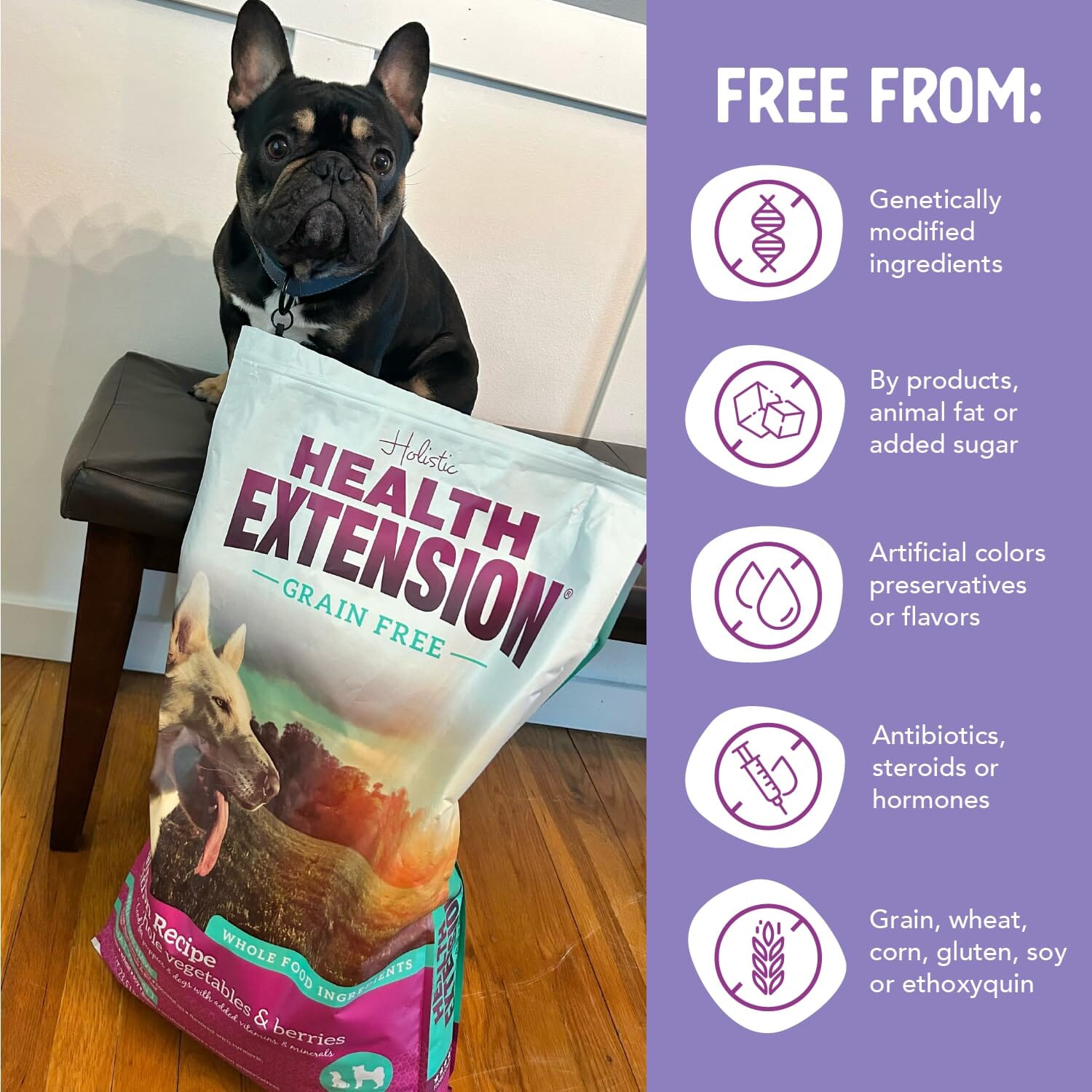 Health Extension Grain Free Salmon Recipe Dry Dog Food  